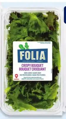 Walmart Folia lettuce offer