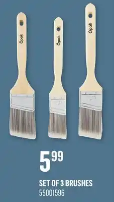 Canac SET OF 3 BRUSHES offer