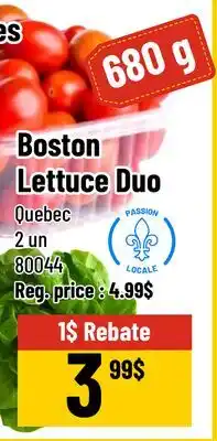 Mayrand Grape Tomatoes Boston Lettuce offer