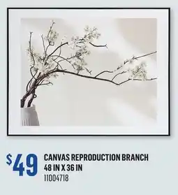 Canac Canvas Reproduction Branch 48 in x 36 in offer