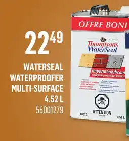 Canac WaterSeal Waterproofer Multi-Surface offer
