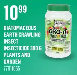 Canac Diatomaceous Earth Crawling Insect Insecticide 300 g offer