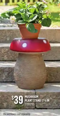 Canac MUSHROOM PLANT STAND offer
