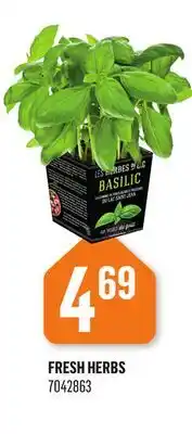 Canac FRESH HERBS offer