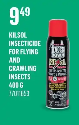 Canac Kilsol Insecticide for Flying and Crawling Insects offer