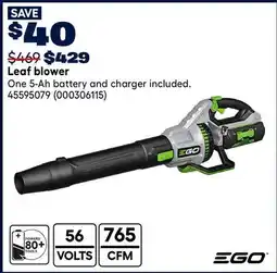 RONA EGO Leaf blower offer