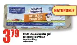 Bonanza Large Nestlaid eggs offer
