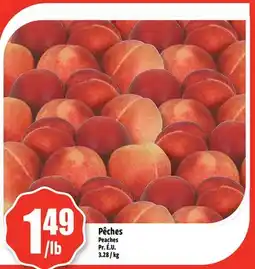 Bonanza Pêches offer