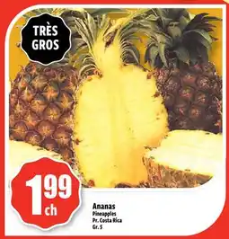 Bonanza Ananas offer