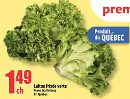 Bonanza Green leaf lettuce offer