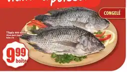 Bonanza Tilapia noire étière offer