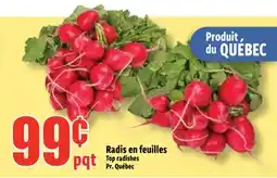 Bonanza Radis en feuilles offer