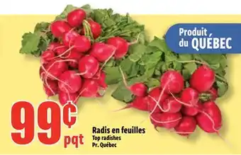 Bonanza Radis en feuilles offer