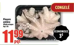 Bonanza Pieuvre entière offer