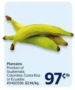 Walmart PLANTAINS offer