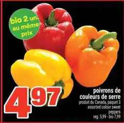 Super C poivrons de couleurs de serre offer