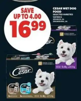 Real Canadian Superstore Cesar Wet Dog Food offer