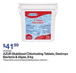 Patrick Morin Stabilized Chlorinating Tablets, Destroys Bacteria & Algae offer