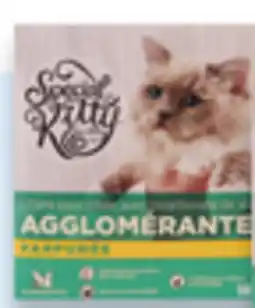 Walmart Special Kitty clumping cat litter offer