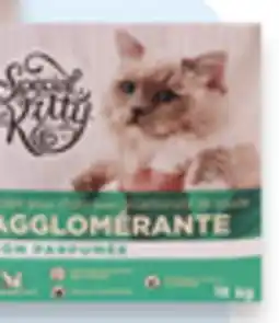 Walmart Special Kitty clumping cat litter offer
