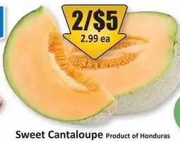 Starsky Sweet Cantaloupe offer