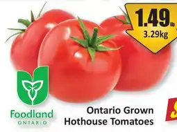 Starsky Ontario Grown Hothouse Tomatoes offer