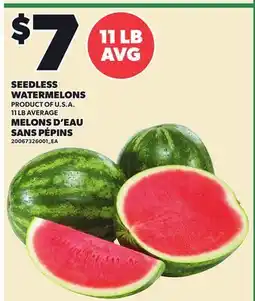 Independent City Market SEEDLESS WATERMELONS, 11 LB AVERAGE offer
