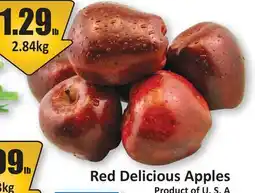 Starsky Red Delicious Apples offer