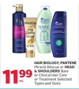 Rexall HAIR BIOLOGY, PANTENE Miracle Rescue or HEAD & SHOULDERS Bare or Clinical Hair Care or Treatment offer