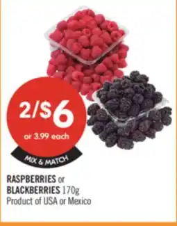 Shoppers Drug Mart RASPBERRIES or BLACKBERRIES offer