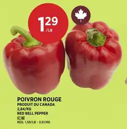 Kim Phat RED BELL PEPPER offer