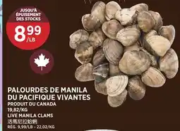 Kim Phat LIVE MANILA CLAMS offer