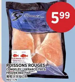 Kim Phat GEPARCO FROZEN RED FISH offer