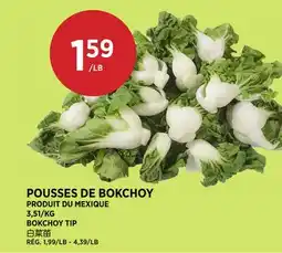 Kim Phat BOKCHOY TIP offer