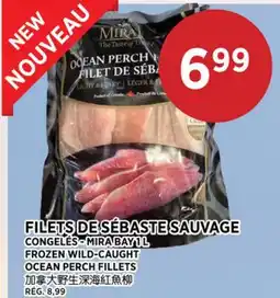 Kim Phat MIRA BAY FROZEN WILD-CAUGHT OCEAN PERCH FILLETS offer