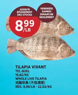 Kim Phat WHOLE LIVE TILAPIA offer