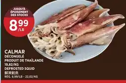 Kim Phat DEFROSTED SQUID offer