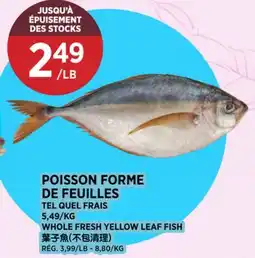 Kim Phat WHOLE FRESH YELLOW LEAF FISH offer