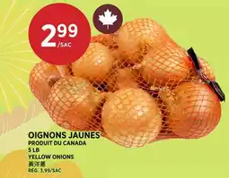 Kim Phat YELLOW ONIONS offer