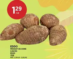Kim Phat EDDO offer