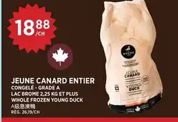 Kim Phat LAC BROME WHOLE FROZEN YOUNG DUCK offer