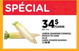 Kim Phat LOBOK offer