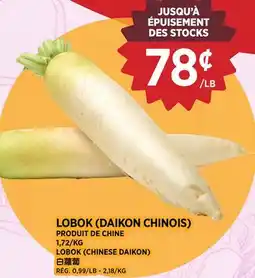 Kim Phat LOBOK offer