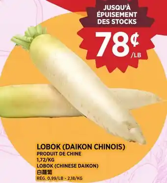 Kim Phat LOBOK offer