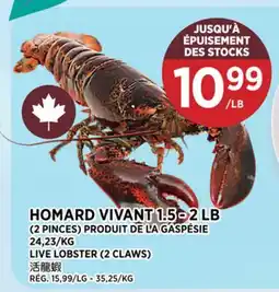 Kim Phat LIVE LOBSTER offer