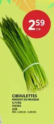 Kim Phat CHIVES offer