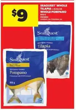 Real Canadian Superstore Seaquest Whole Tilapia or Whole Pompano offer