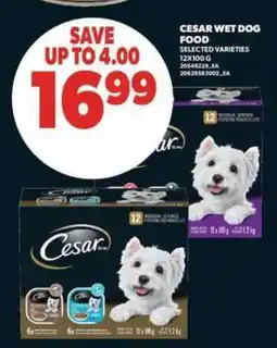 Real Canadian Superstore Cesar Wet Dog Food offer