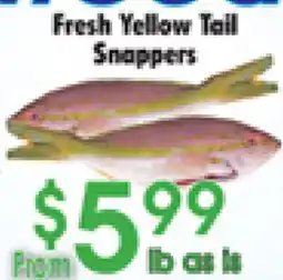 Danforth Food Market Fresh Yellow Tail Snappers offer