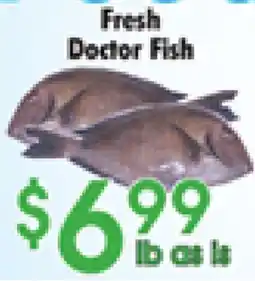 Danforth Food Market Fresh Doctor Fish offer